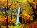 Forest waterfall in autumn