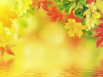 Autumn Leaves
