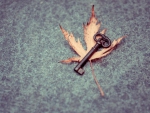 Autumn's Key