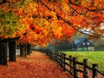 Beautiful Autumn