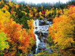 White Mountain Waterfall