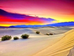 DUSK in the DESERT