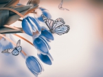 Blue Tulips and butterflies