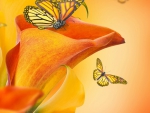 Calla Lily and Butterflies