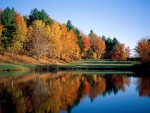 Autumn Lake