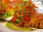 AUTUMN LANDSCAPE with COLORFUL LEAVES