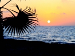 Beach Sunset