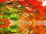 AUTUMN REFLECTION
