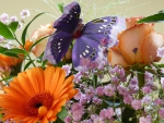Butterfly On Birthday Bouquet