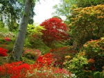 Exbury Gardens