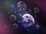 Skulls