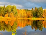 AUTUMN FOREST on the LAKE