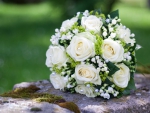 Bouquet of white roses