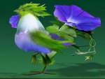 Morning Glory Rooster