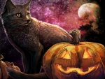 Hallowwen Cat