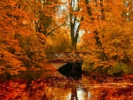 Autumn bridge