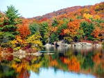 Autumn Reflection