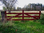 Red Gate