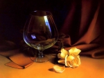 âœ¿âŠ±â€¢â•®Rose n Glassâ•­â€¢âŠ°âœ¿