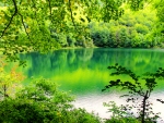 Green lake