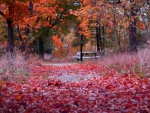 Park at Autumn