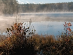 autumn - fog on the water