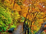 Autumn Park Path