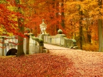 Autumn park