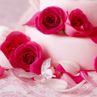 pink roses