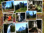 Pacific Northwest Collage