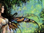 Fairy Butterfly Wings
