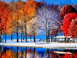 AUTUMN TREES on SNOW LAND