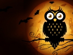 Halloween Owl Moon