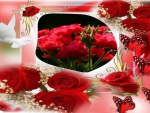 Roses,Butterflies and Doves