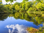Reflections On The Lake