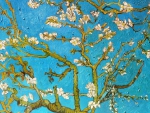 Almond tree