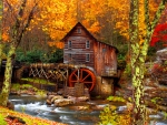 Forest mill in autumn