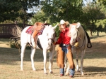 Cowgirl and Horses