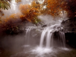 AUTUMN FOREST FALLS