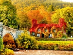 AUTUMN COLORS SURROUNDING the HOUSE