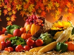 Fall Harvest