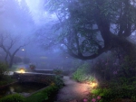 Misty park