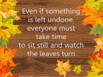 Watch the leaves