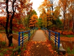 Autumn park