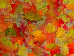 Autumn Leaves