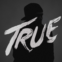 AVICII - True