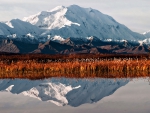 Fall At Mount McKinley