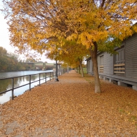 Colors on the Canal