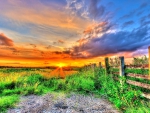GREEN FIELDS at the SUNSET