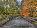 Autumn Bridge
